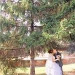 Фотосъёмка свадьбы в Губкине, Старом Осколе (т: 89045361701)